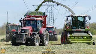 GPS Ganzpflanzensilage 11 Maschinen im Großeinsatz Einsatz  12 Häckselwagen Roggen Mähen \u0026 Häckseln