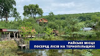 Райське місце посеред лісів на Тернопільщині