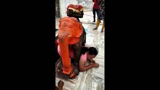 Funny attempt in temple instead of praying God  - பக்தி  இல்லை என்றால் இப்படித்தான்