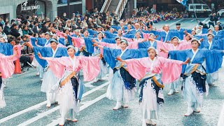 妃龍『碧凛〜アオリ』 第20回記念 町田夢舞生ッスイ祭2024 東急会場