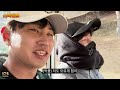 ep.1 라베78 아마추어 악플러 vs 라베67 kpga 프로⛳️ 떼제베cc 오장대결 경찰 신고하셔도 됩니다