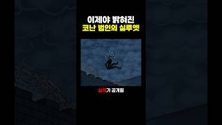 이제야 밝혀진 코난 범인의 실루엣