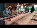 one of the most expensive wood in kalimantan red meranti wood