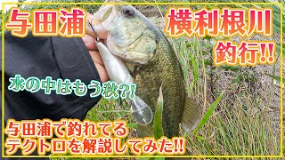 気づけば秋？巻いて良し！歩いて良し！最近釣れてる「テクトロ」を簡単に解説してみました！【横利根川・与田浦】