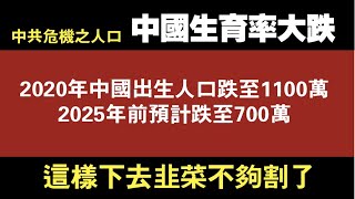 【中国危机之人口】中国生育率大跌，2020年出生人口跌至1100万，2025年前预计跌至700万。这样下去韭菜不够割了。2021.02.03NO641#中国生育率