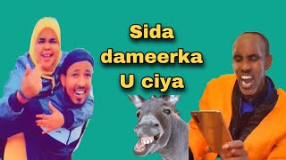 Dhifiq oo live ku jira  😂xaraabe— dhifiq TikTok 😂