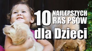 10 NAJLEPSZYCH RAS PSÓW DLA DZIECI