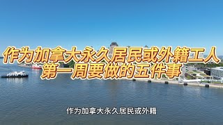 作为加拿大永久居民或外籍工人第一周要做的五件事