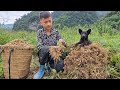 Full video: 25 days, harvesting vegetables and fruits to sell. Gardening - Nam's daily life