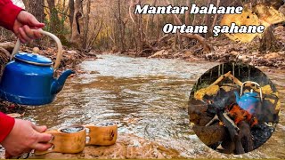 Mantar bahane doğa şahane idi.         #mantar #kanlıcamantarı