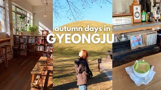 autumn in gyeongju 🌾 bookstores, new cafes, solo travel outside seoul, korea vlog