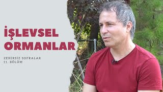 Zehirsiz Sofralar Belgeseli 11. Bölüm - İşlevsel Ormanlar (Alp Pir)