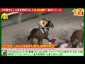 船橋1鞍 今村聖奈 ～jra交流・ファンシーサドル特別で騎乗／2023年6月21日