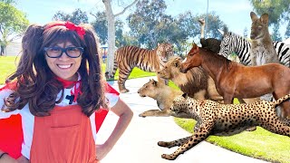 Fastest Land Animals For Kids | Soso Turns Her Fastest Land Animal Toys To Life!