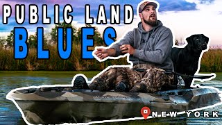 Hard Public Land Duck Hunts | New York Northern Zone Opener