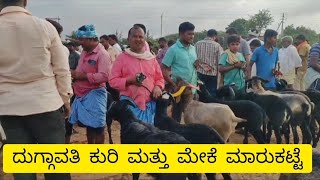 Duggawati sheep and goats market update | Every Saturday morning bazar | Karnataka