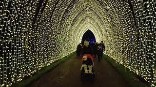 爱丁堡植物园圣诞灯展 Edinburgh botanic garden light show 2020