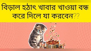 বিড়াল হঠাৎ খাবার খাওয়া বন্ধ করে দিলে যা করবেন/What to do if the cat suddenly stops eating