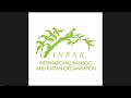 ‘Bamboo for Ecosystems Restoration and Green Growth’: INBAR at UNCCD COP 15