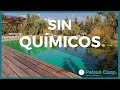 BIOPISCINA | ¿Cómo FUNCIONA por dentro? | ☑️ Con PLANTAS ❌Sin químicos