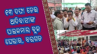 Matrubhumi Live TV, Bargarh, ୧୩ ଦଫା ନେଇ ଆଦିବାସୀଙ୍କ ପାଇକମାଲ ବ୍ଲକ ଘେରାଉ