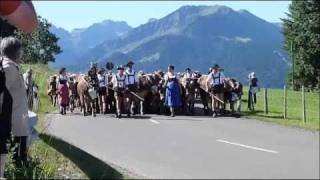 Viehscheid Schöllang - Oberstdorf 2010 im Allgäu