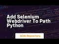 add selenium webdriver to path python