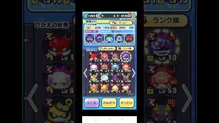 #ぷにぷに　初心者ボックス紹介