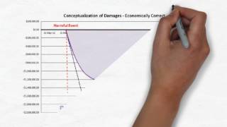 Economic Damages – Failure to Conceptualize Picture