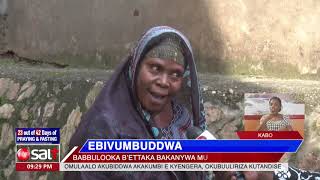 EBIVUMBUDDWA - Ba bulooka b'ettaka abatta be baliguza (part 13)