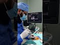 ultrasound guided target liver biopsy from hfl. dr. el sayed imam nhtmri cairo egypt.