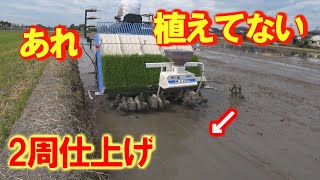 【会社員実家農業手伝う】2024イセキ5条植え田植え機で外周2周仕上げするための方法！