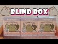 Apriamo le Blind Box di Pusheen