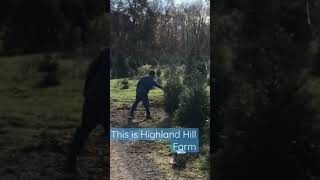 On one of the largest tree farms in Bucks County Near Doylestown call us at 215 651 8329