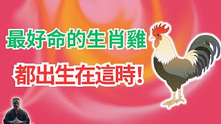 生肖雞，出生在這5個月份、4個時辰，只要占一個就是好命，就將大富大貴！一生運程與眾不同！  #2024年生肖雞運勢 #2024年生肖雞運程 #2024年屬雞運勢 #屬雞運程