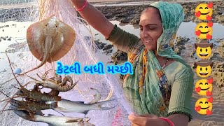 કટલી બધી મચ્છી