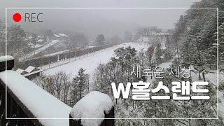 [승마] 새로운 세상 | W홀스랜드의 겨울 | DK Horse | Horse Riding | Equestrian | Vlog