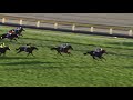 【ジャパンカップ2021】競馬コントレイル ラストフライト🛩