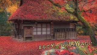 まるでゲームの世界だ…紅葉に囲まれた奈良県の水谷茶屋が美しいと海外で話題に　海外の反応