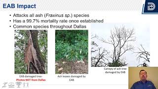 EAB Introductory video II