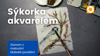 Akvarel sýkorka a povídání o darech