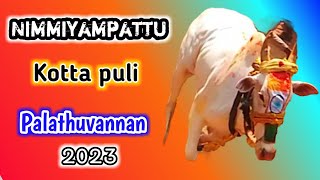 Nimmiyampattu kotta puli 🐯Palathuvannan street 2023.. @TamizhRock