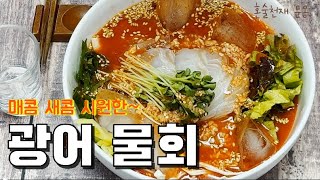 매콤 새콤 시원한 [광어 물회] 혼자먹기 딱 좋은 1인분 요리 만들기 #cooking #asmr #mukbang