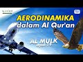 Fakta menakjubakan surat Al Mulk ayat 19 | Qur'an Fuadi