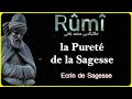 Rûmî - Citations  | La Pureté de la Sagesse| Ecrin de Sagesse