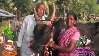 Nagiyampatti Jallikattu 2019 (Pongal Special Program) Part 2...