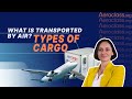 What Is Transported by Air? Types of Cargo | Aeroclass Lessons
