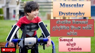 Muscular Dystrophy/ජානමය මාංශපේෂි රෝග/causes/how it happens/treatments/sinhala/how to prevent