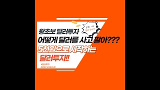 1.왕초보 달러투자기/누구나 할수있는 달러투자/완전초보