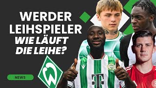 Werders Leihspieler Update! / Wie läuft es bei Keita,Hansen,Kownacki \u0026 CO